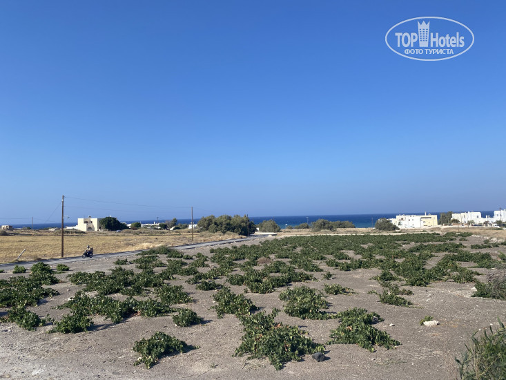 New photos from tourists Anamar Santorini 4*