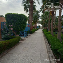 фото из отзыва ID 2332360