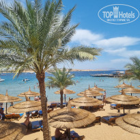 фото из отзыва ID 2335446