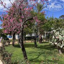 фото из отзыва ID 2335439