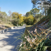 фото из отзыва ID 2334835