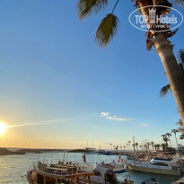 фото из отзыва ID 2335555