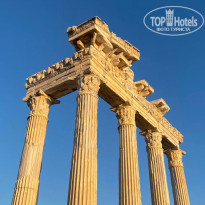 фото из отзыва ID 2335555