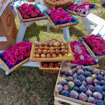 фото из отзыва ID 2335610