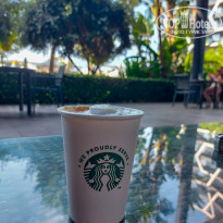 фото из отзыва ID 2335610