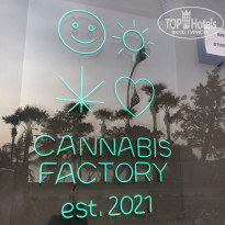 фото из отзыва ID 2335645