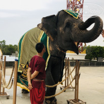 фото из отзыва ID 2335645