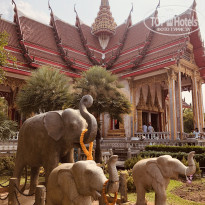 фото из отзыва ID 2335645