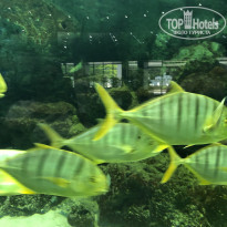 фото из отзыва ID 2335645