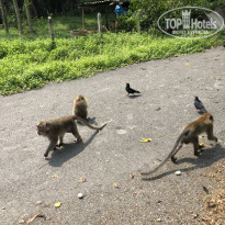 фото из отзыва ID 2335645