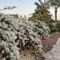 фото из отзыва ID 2335701