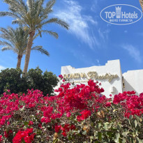 фото из отзыва ID 2335701