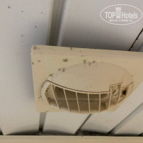 фото из отзыва ID 2335738