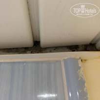 фото из отзыва ID 2335738