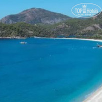 фото из отзыва ID 2335844