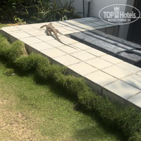 фото из отзыва ID 2335891