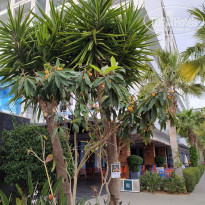 фото из отзыва ID 2335962