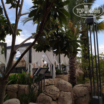 фото из отзыва ID 2335962