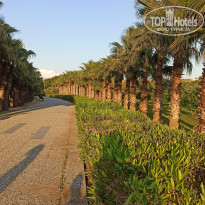 фото из отзыва ID 2336018