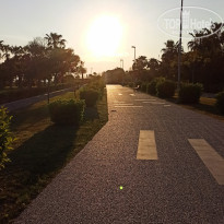 фото из отзыва ID 2336018