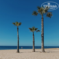 фото из отзыва ID 2336018