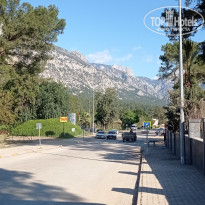 фото из отзыва ID 2336024