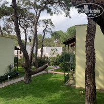 фото из отзыва ID 2336024