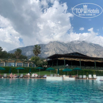 фото из отзыва ID 2336024