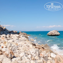 фото из отзыва ID 2336024