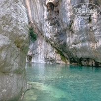 фото из отзыва ID 2336024