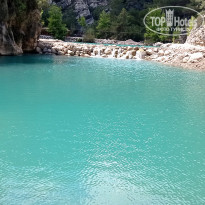 фото из отзыва ID 2336024