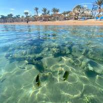 фото из отзыва ID 2336054