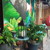 фото из отзыва ID 2336202