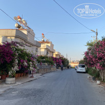 фото из отзыва ID 2336389