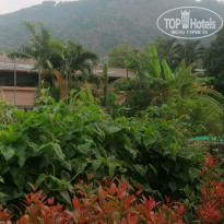 фото из отзыва ID 2336470