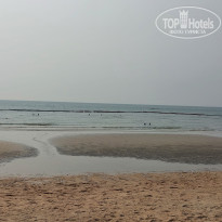 фото из отзыва ID 2336519