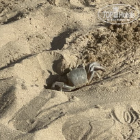 фото из отзыва ID 2336587