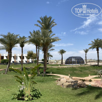 фото из отзыва ID 2336620