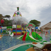 фото из отзыва ID 2336667