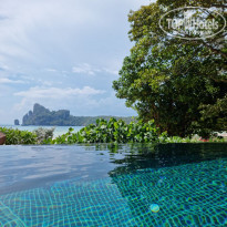 фото из отзыва ID 2336929