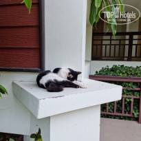 фото из отзыва ID 2336929