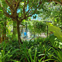 фото из отзыва ID 2336929