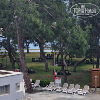 фото из отзыва ID 2337082