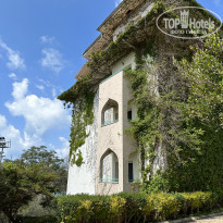 фото из отзыва ID 2337116