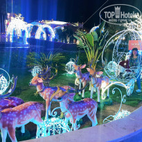 фото из отзыва ID 2336155