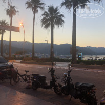 фото из отзыва ID 2337152