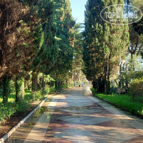 фото из отзыва ID 2335134