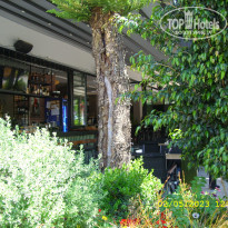 фото из отзыва ID 2336930