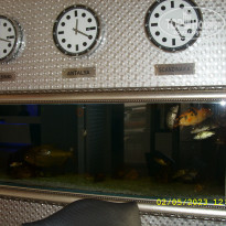 фото из отзыва ID 2336930