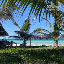 фото из отзыва ID 2337289